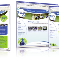 Webseite, BFV, 2008