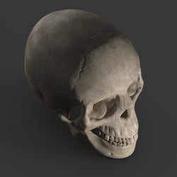 Skull2.30