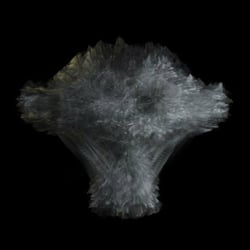 Object