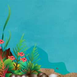 Fishes II