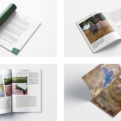 Magazin – FELD Ausgabe 01 | 2022 4