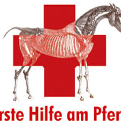 erstehilfe