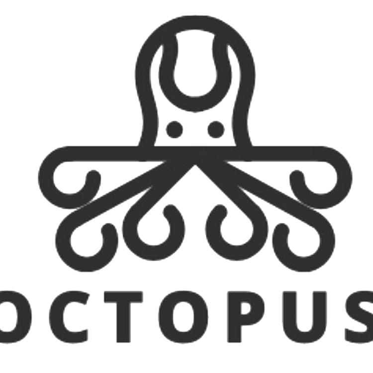 Octopus Oman Tours