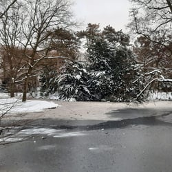 Winter in Bremen