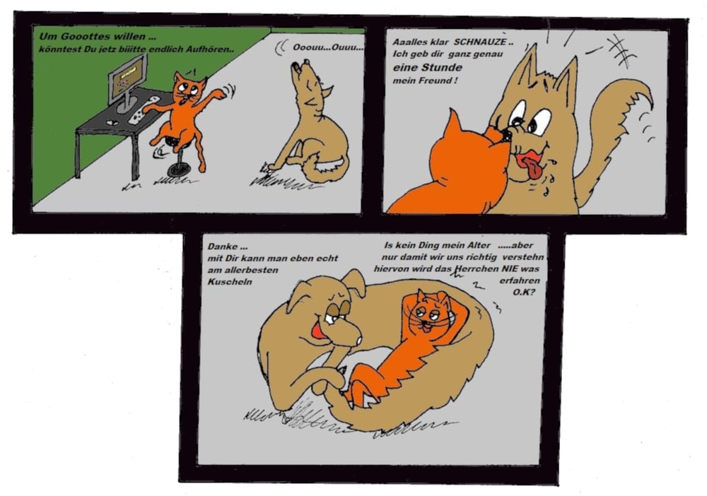 Hund und Katz allein zuhaus.-.