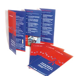 Alumnikongress – Flyer