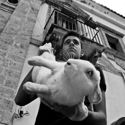 Festivals in Sicily