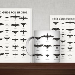Field Guid for Birding