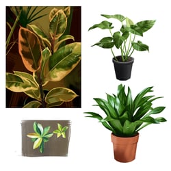 Plantstudies 2