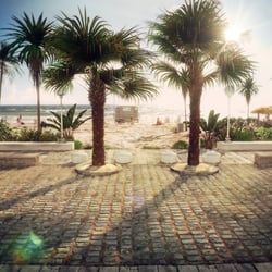 Beach palms 01