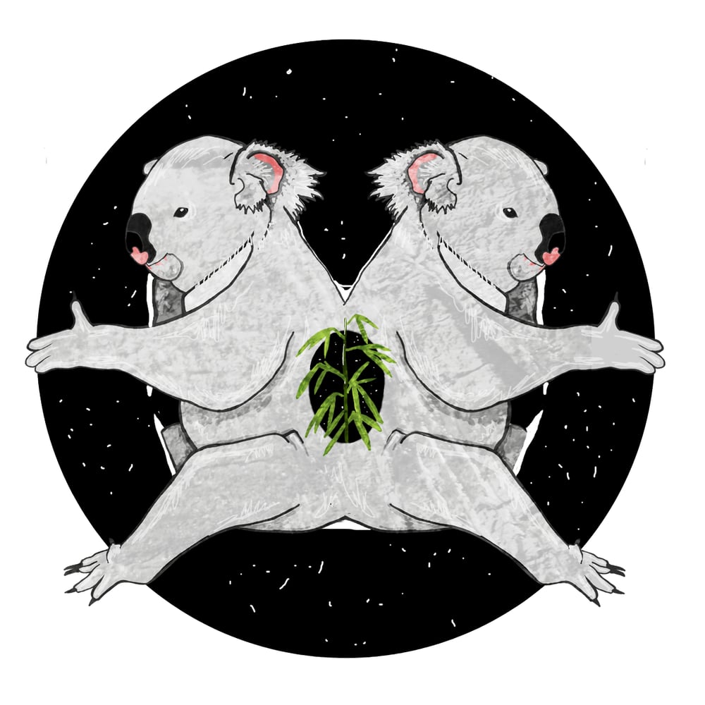 koala