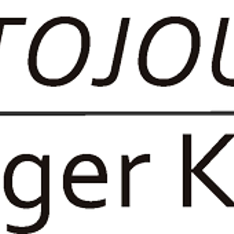 Holger Kammerer
