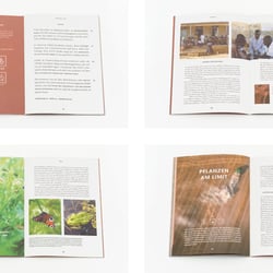 Magazin – FELD Ausgabe 01 | 2019 5
