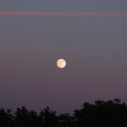 Moon – Jun. 2014 © by Dina.T