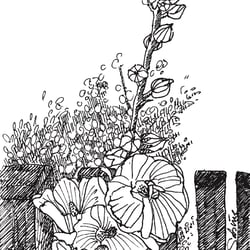 Stockrosen am Straßenrand / Filzstift