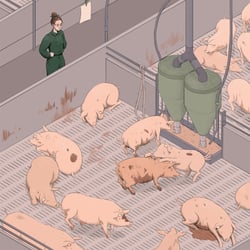 Pig & Click