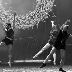 Tänzerinnen und Tänzer des Balletts Halle