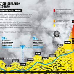 Infografik für ThePlanetVs / COP26