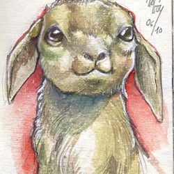 Taxidermy-02