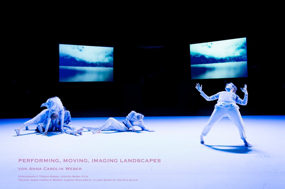 Performing, Moving, Imaging Landscapes