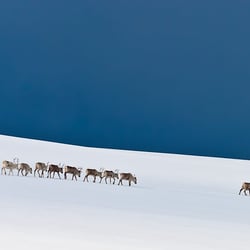 Landschaftsfotografie @ Foto Brennerei