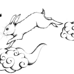 Asia Hase