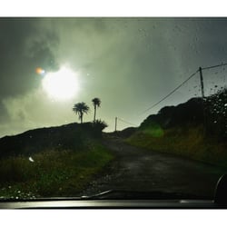 Maui