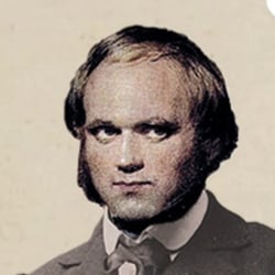 Still aus der Produktion „Evolutionstheorien”