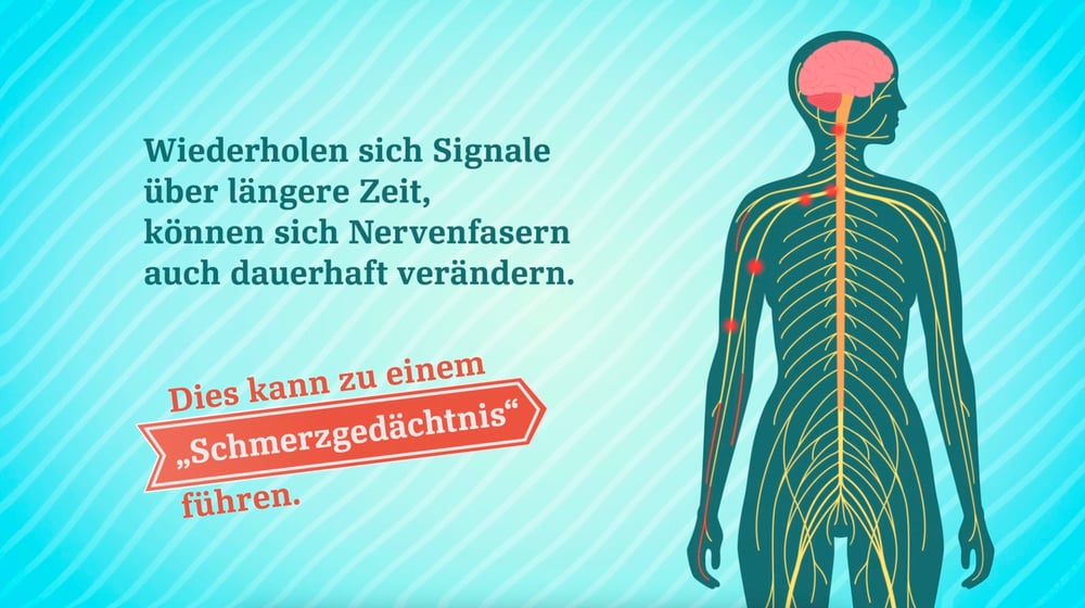 Schmerzgedächtnis