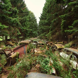 Autofriedhof