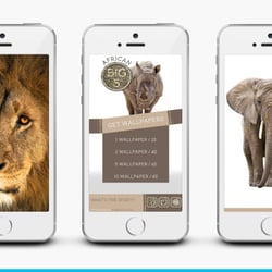 Design und Entwicklung eines Mobile Charity App zum Schutz bedrohter Tierarten.