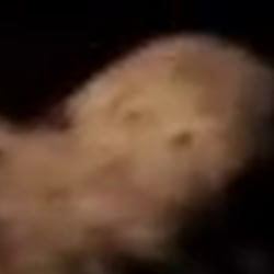 Still 6