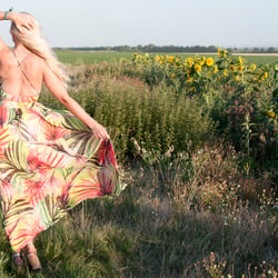 Summer Breeze