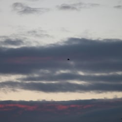 Natur 2012