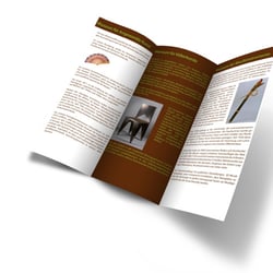 Flyer Rückseite