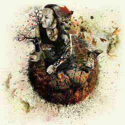 MKarg Dispersion 5