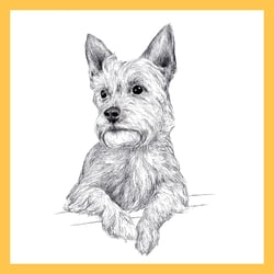 Artboard 1 copy 6−100