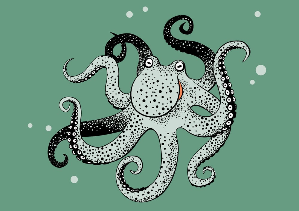 Oktopus