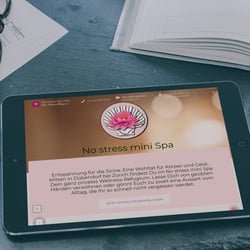 nostress-minispa.ch