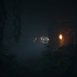 Amazonas_Forest_Shot_5