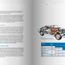 Buch „Alpine – Blau gewinnt“
