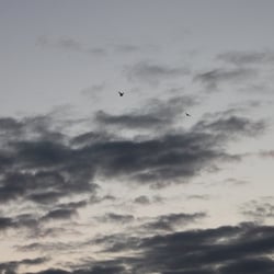 Natur 2012