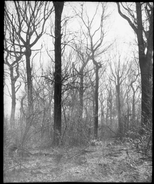 www.pictomanisch.de