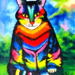 KATER KARLO !