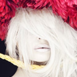 dream sequence flowerhead