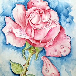 Lonley Rose
