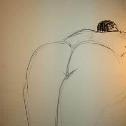 akt 2008