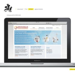 Online-Auftritt für IERM | 2010