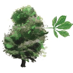 Baum 3