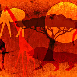 Illustration – Collage